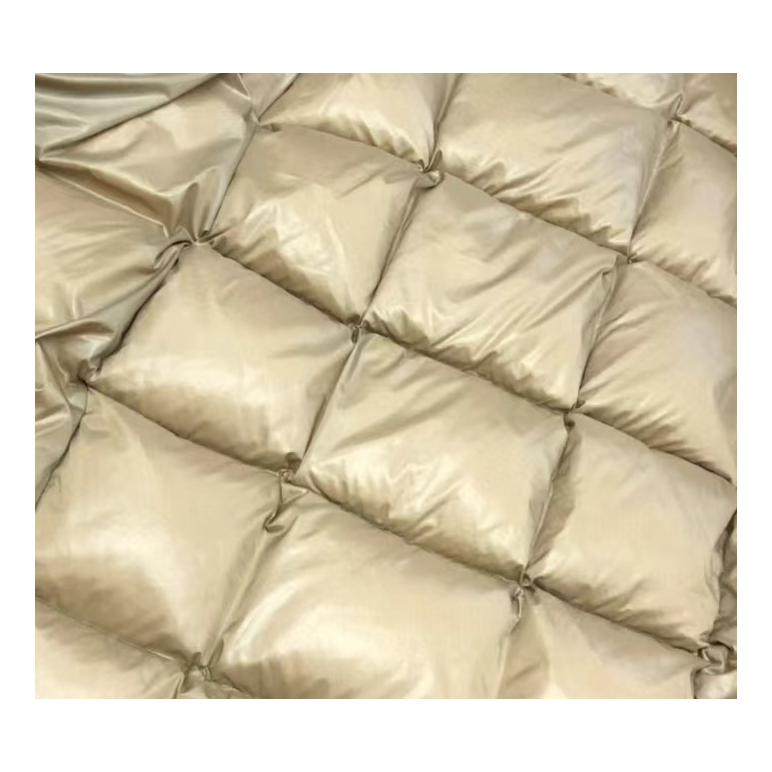 Moncler Gold-Lined Glossy Long Puffer Coat in Black